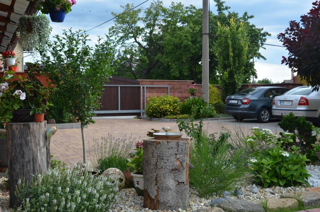 Penzion Aura Dvůr Králové nad Labem Zewnętrze zdjęcie