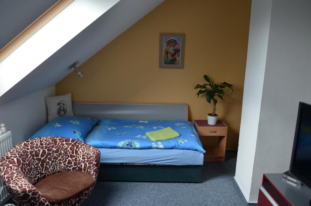 Penzion Aura Dvůr Králové nad Labem Zewnętrze zdjęcie