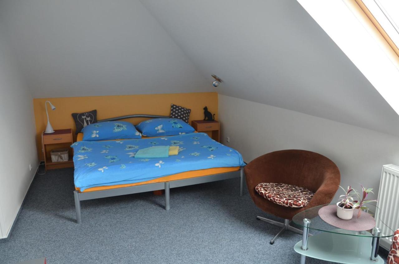 Penzion Aura Dvůr Králové nad Labem Zewnętrze zdjęcie